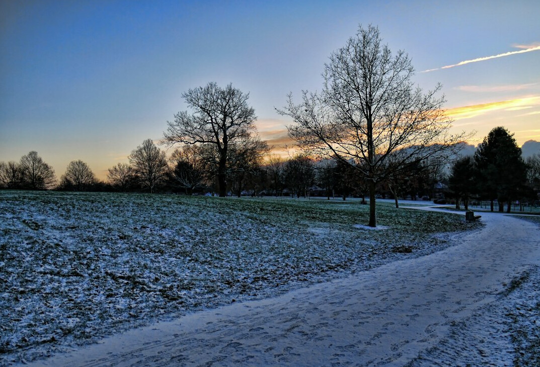 person walking in nature